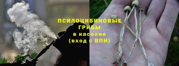 ALPHA PVP Новодвинск