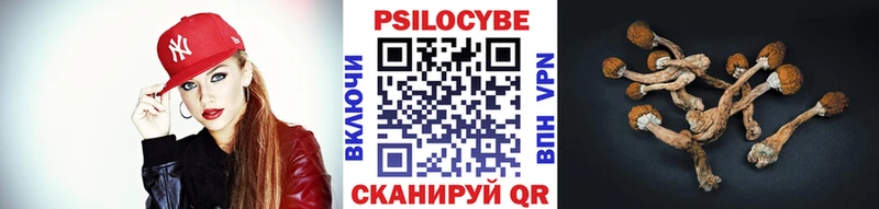 Псилоцибиновые грибы Magic Shrooms  площадка как зайти  Хадыженск 