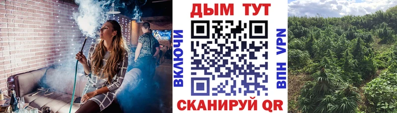 Канабис план МЕГА ТОР Хадыженск